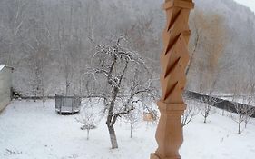 Casa Cărbunaru
